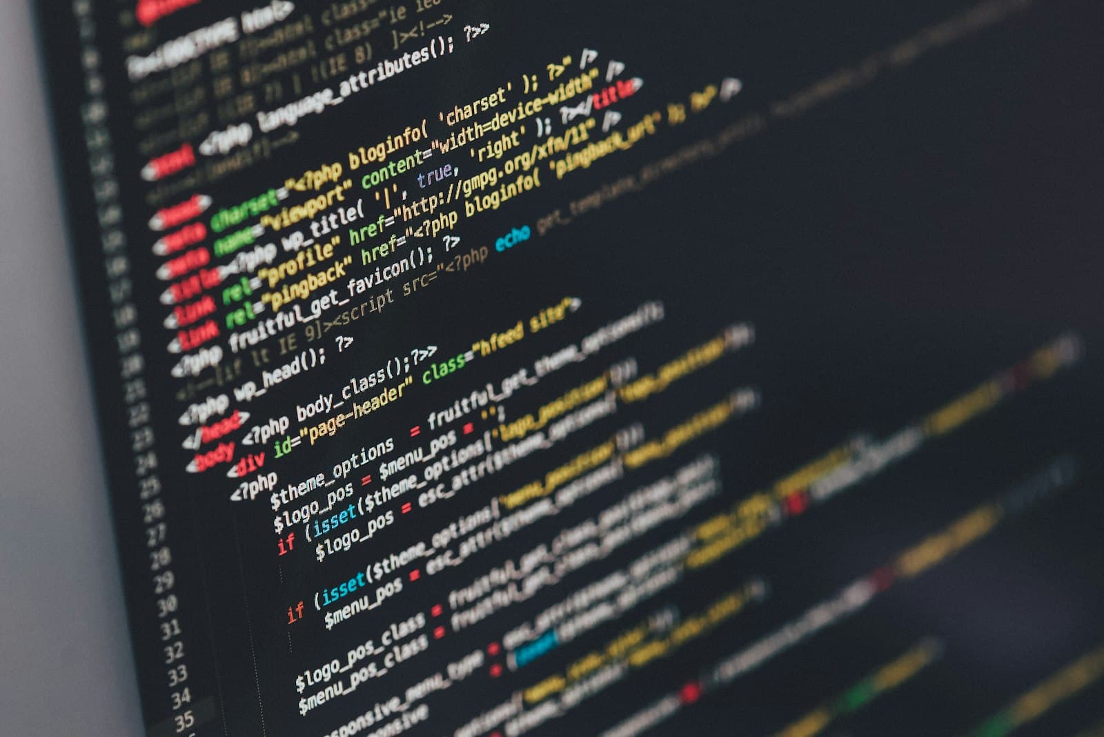 Custom Software & Bots